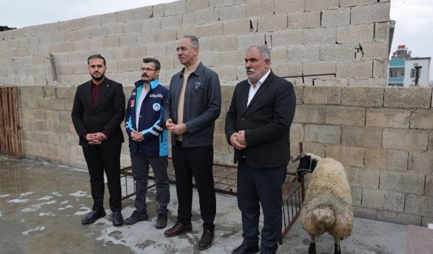 Günbay "Başkan Kuş,Ramazan ayında 400 ailenin et ihtiyacını karşılamak amacıyla koçların dağıtımına başladı"