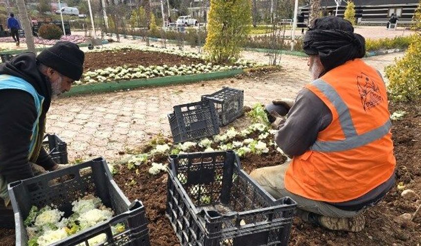 EYYÜBİYE YEŞİL ALANLARI BAHARA HAZIRLANIYOR