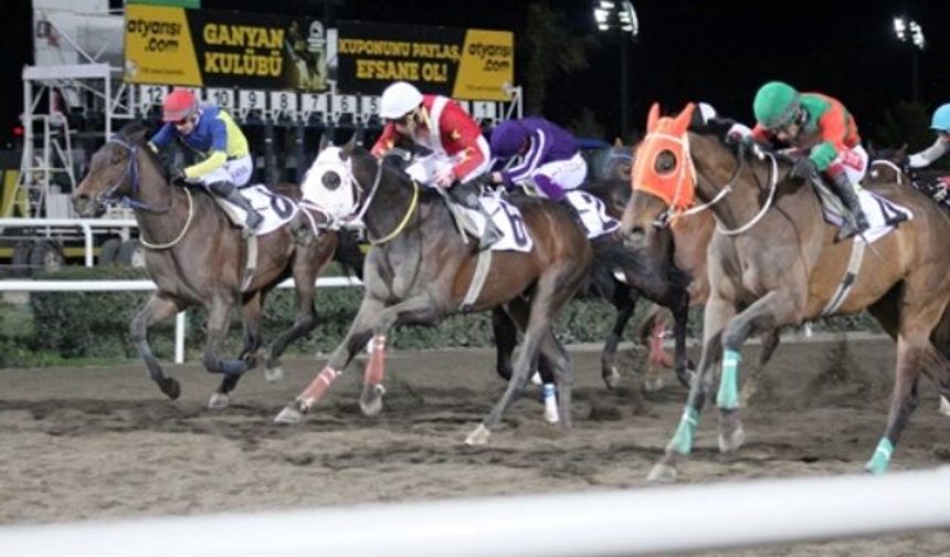 Uluslararası Şanlıurfa Büyükşehir Belediye Başkanlığı Koşusu’nu “Dar Sokak” Kazandı