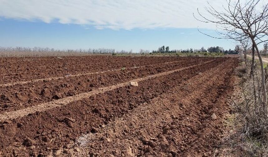 ŞANLIURFA BÜYÜKŞEHİR BELEDİYESİ’NDEN 20 BİN ÇINARLIK YEŞİL HAMLE