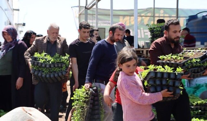 BÜYÜKŞEHİR, 1 MİLYON FİDE DAĞITARAK ÜRETİCİYİ DESTEKLEDİ