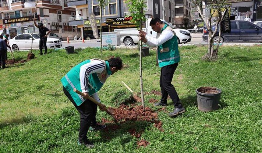 HALİLİYE BELEDİYESİ’NDEN PARK VE YEŞİL ALANLARDA BAKIM SEFERBERLİĞİ