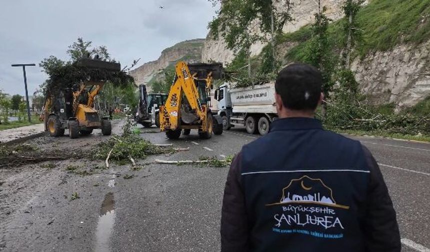 BÜYÜKŞEHİR, BİRECİK’TE SAHADA