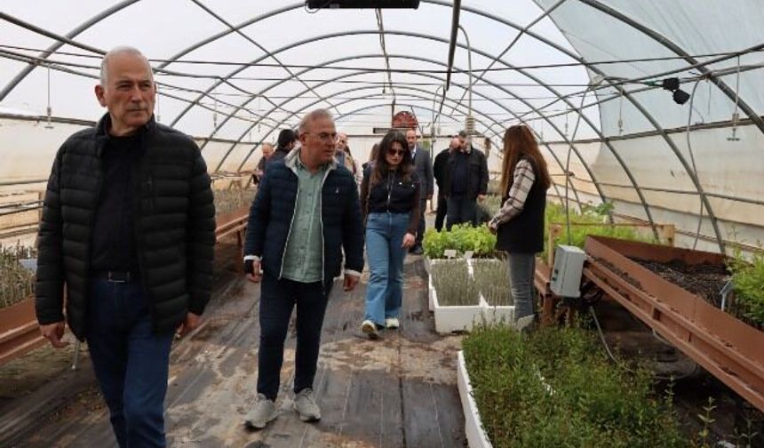 TBB HEYETİ, ŞANLIURFA BÜYÜKŞEHİR BELEDİYESİ’NİN TARIMSAL ÜRETİMİNİ İNCELEDİ