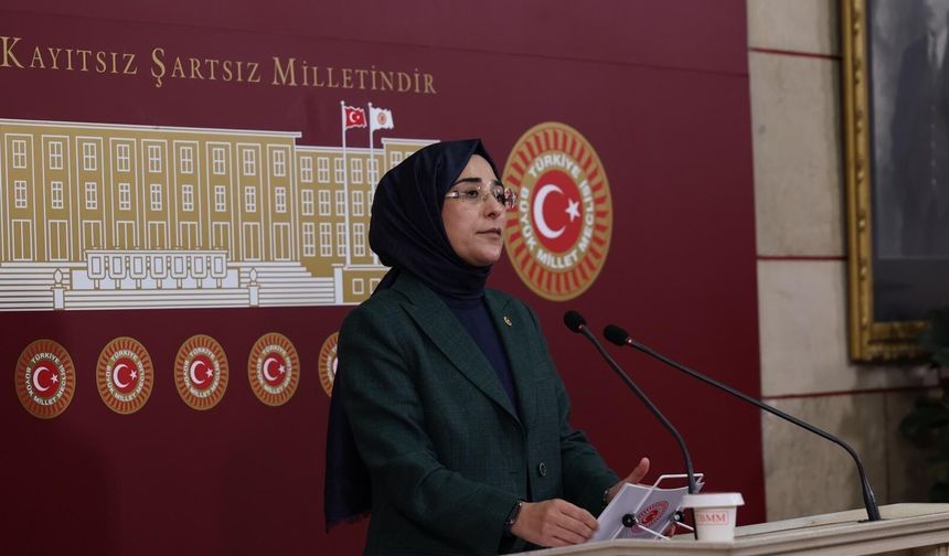 “Rapor gerçeği değil, ön yargıyı yansıtıyor”