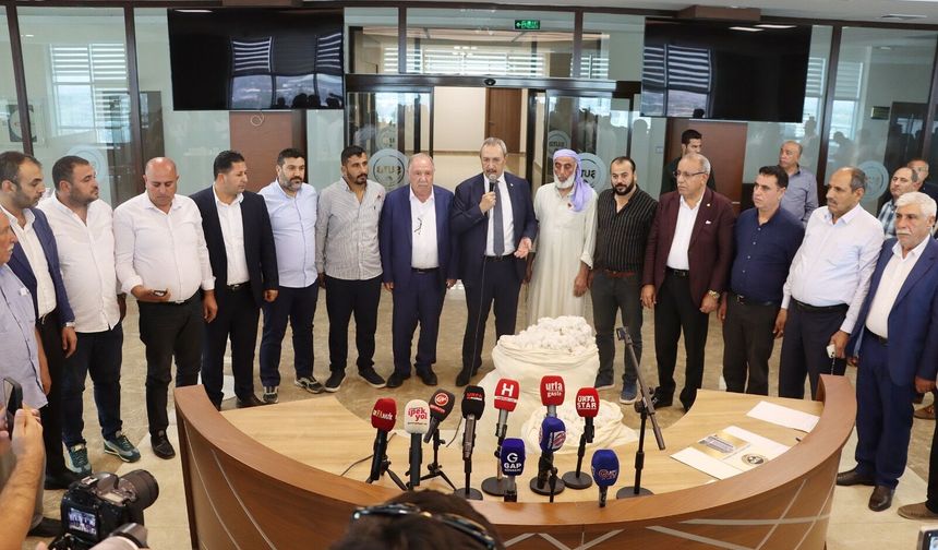 Şanlıurfa’da 2026’nın İlk Pamuğu Satıldı