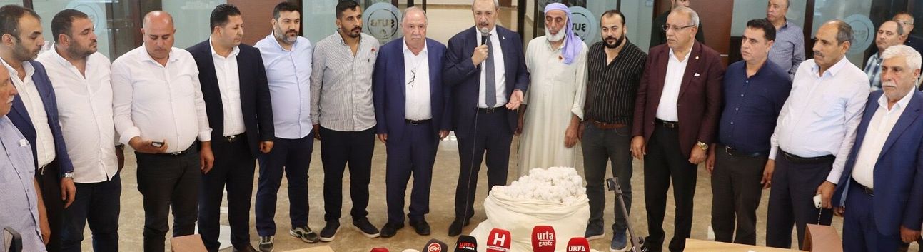 Şanlıurfa’da 2026’nın İlk Pamuğu Satıldı