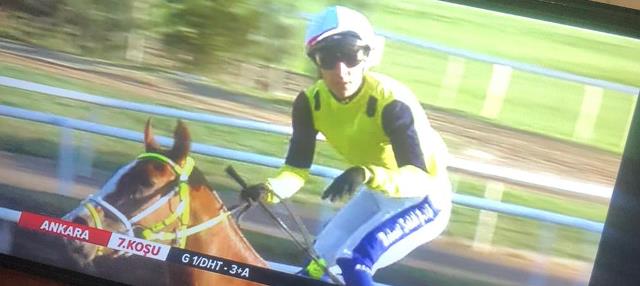 60A652F3 50Db 4232 8Fa4 Abaca8De7550