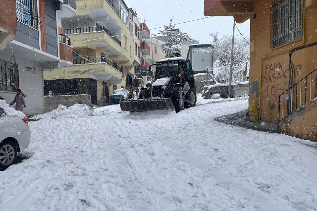 20251229100803 48515 87218