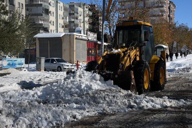 Af0C0Ffe 1895 43Fd B22B 6B911A4B6803