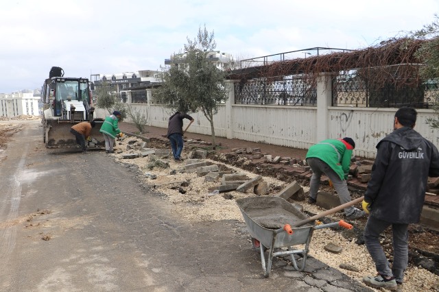 1Ccf0E41 6687 409D 8E0A 867D005D8B57