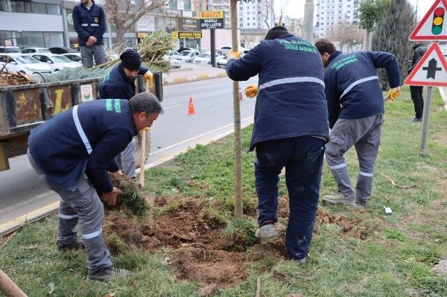 38408 76248 20260225104157