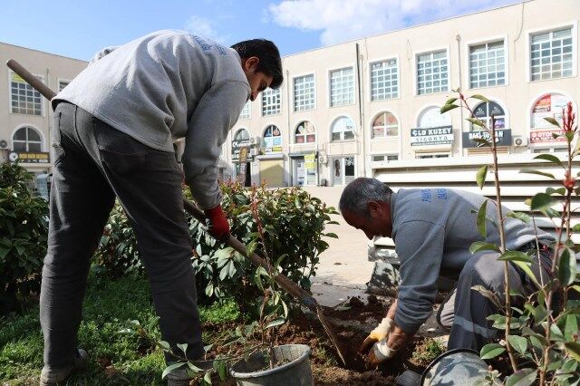 48095 94428 20260225104156