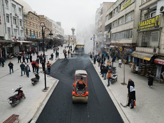 64586 14767 20260217041019