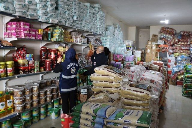 70097 67207 20260225031449