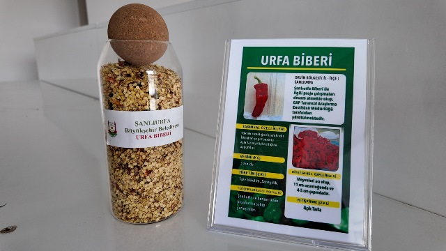 Şanliurfa’da Ata Tohumlari Çi̇ftçi̇lerle Buluşuyor (3)