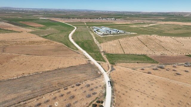 25205 20262 20260303022753