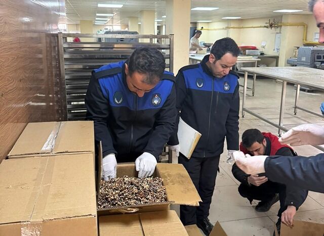 Hali̇li̇ye’de Gida Deneti̇mi̇ Küflü Cevi̇zlere El Konuldu (3)