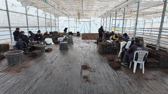 Şanliurfa Büyükşehi̇r Beledi̇yesi̇ 1 Mi̇lyon Fi̇de Üreti̇yor (4)