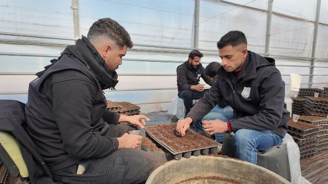 Şanliurfa Büyükşehi̇r Beledi̇yesi̇ 1 Mi̇lyon Fi̇de Üreti̇yor (6)