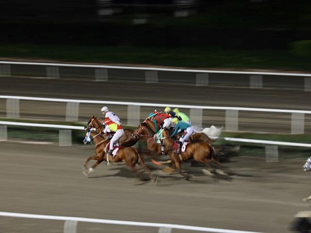 Whatsapp Image 2026 03 26 At 10.11.11