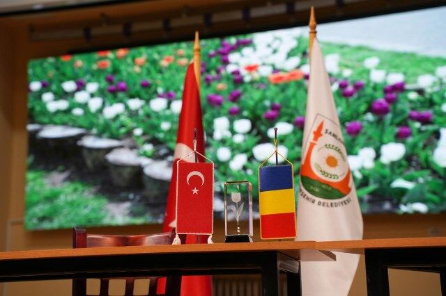 56336 28228 20260417051520