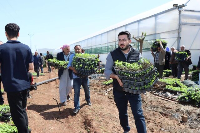 Büyükşehi̇r, 1 Mi̇lyon Fi̇de Dağitarak Üreti̇ci̇yi̇ Destekledi̇ (5)