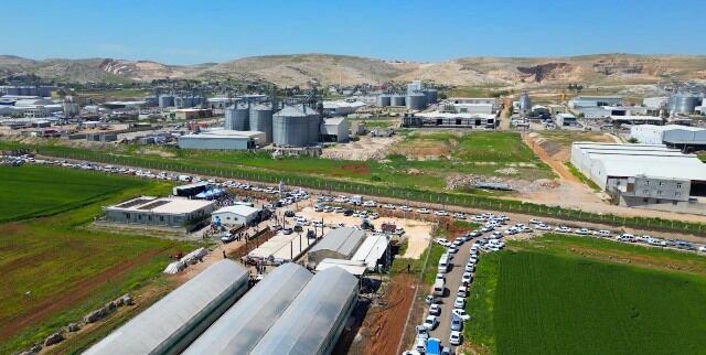 Büyükşehi̇r, 1 Mi̇lyon Fi̇de Dağitarak Üreti̇ci̇yi̇ Destekledi̇ (6)