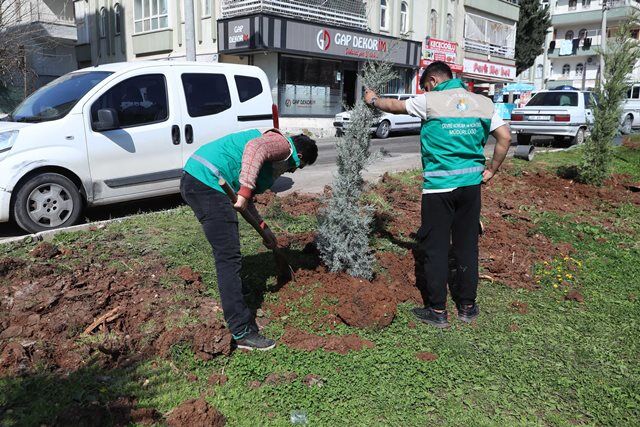 Hali̇li̇ye’de Yaz Öncesi̇ Parklarda Hummali Çalişma (2)