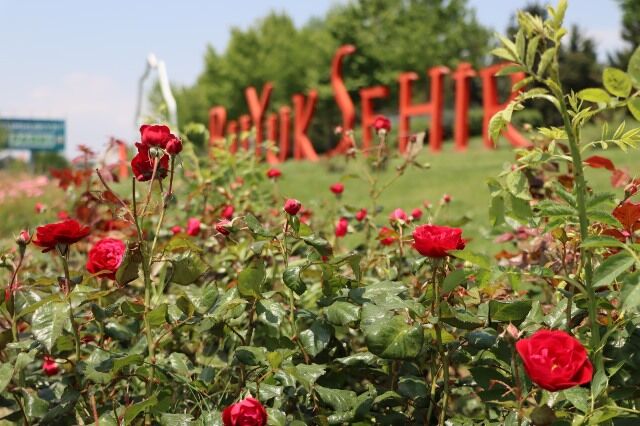 Büyükşehi̇r Kendi̇ Serasinda Üretti̇, Şehri̇n Dört Bi̇r Yanini Çi̇çeklerle Donatti (2)