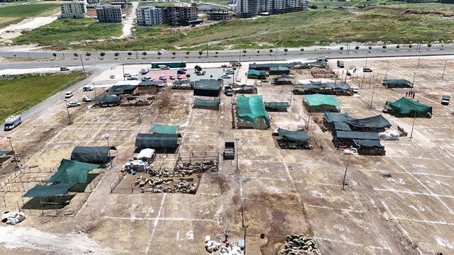 Hali̇li̇ye’de Kurban Satiş Ve Kesi̇m Yerleri̇ Beli̇rlendi̇ (2)