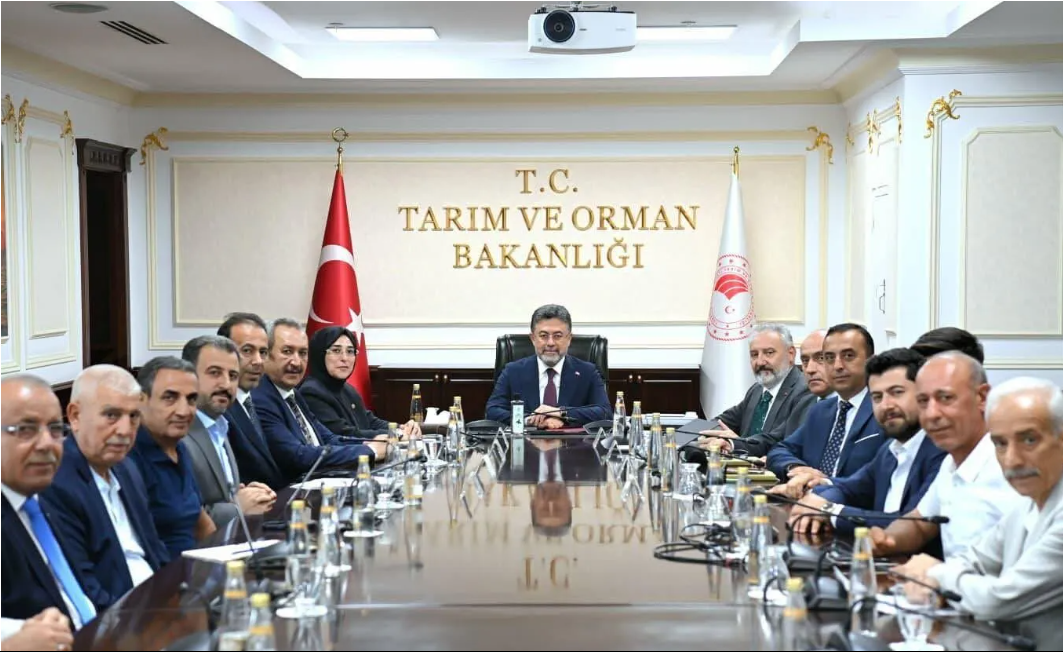 Ekran Görüntüsü 2026 07 17 105812